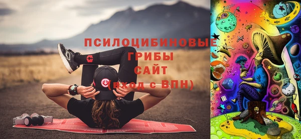 метадон Алексин