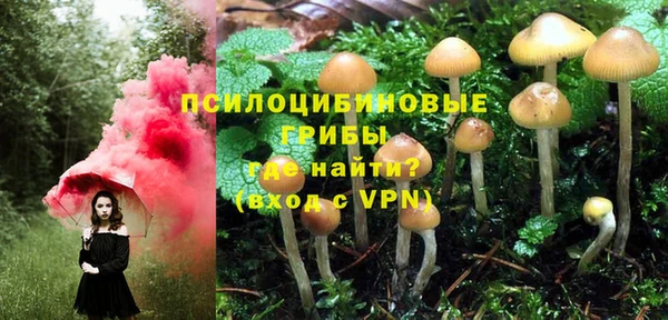метадон Алексин